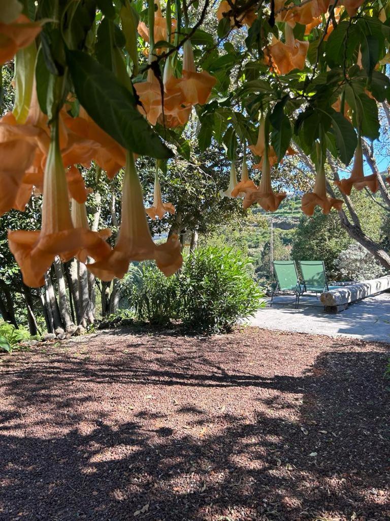 La Casita Del Lagar Villa Cerrogordo Buitenkant foto